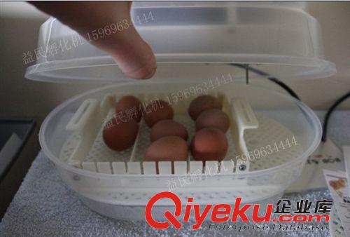 12枚自動孵化機/教學專用孵化器/實驗室專用孵化箱原始圖片3