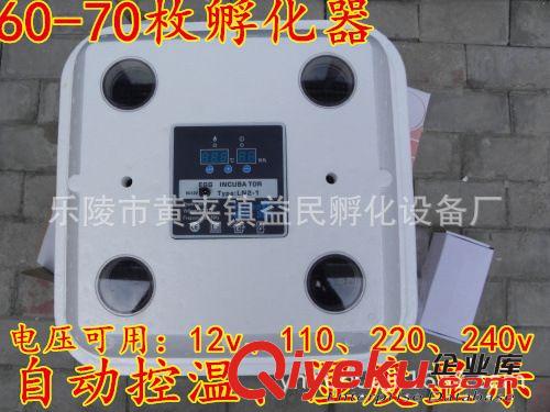 包郵zp全自動雞鴨孵化機微型孵化器70孵化箱小型家用孵蛋器