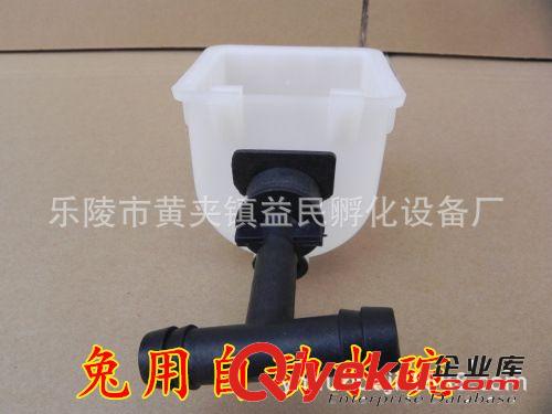 兔子飲水器 兔飲水碗 兔子自動飲水碗 新型飲水飲兔用水碗原始圖片3