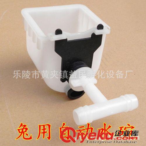 新型兔用飲水  新式飲水碗\全自動飲水碗原始圖片2