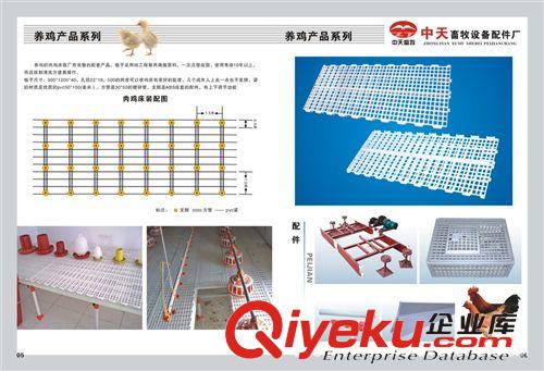 廠家直接銷售純原料雞用塑料地板原始圖片3