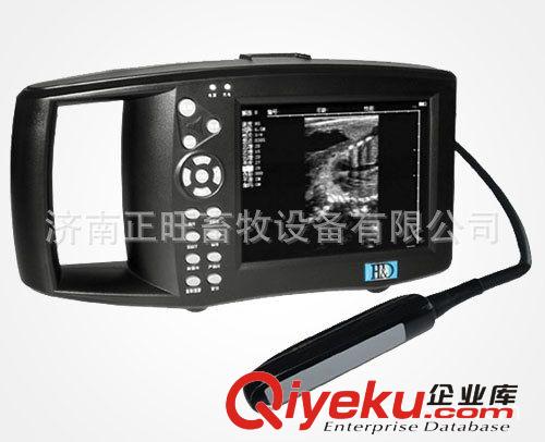 供應(yīng)HD-9300A型掌上全數(shù)字B型超聲診斷儀