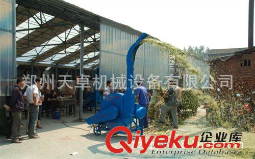 新型家用多功能鍘草粉碎機(jī)/多功能飼料粉碎機(jī)/小型鍘草粉碎一體機(jī)原始圖片3