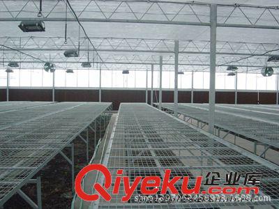 新型骨架大棚  原盛和溫室大棚原始圖片3