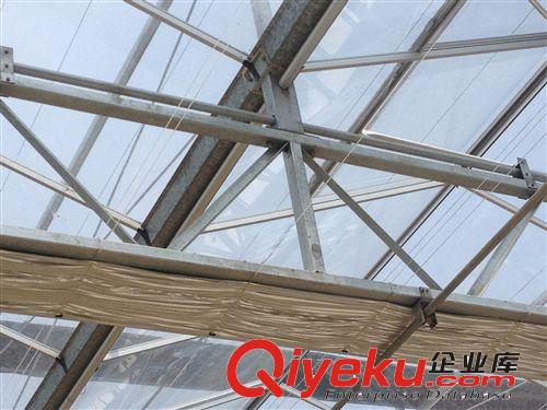 溫室大棚蔬菜農(nóng)場(chǎng)骨架造價(jià) 原盛和溫室大棚原始圖片2
