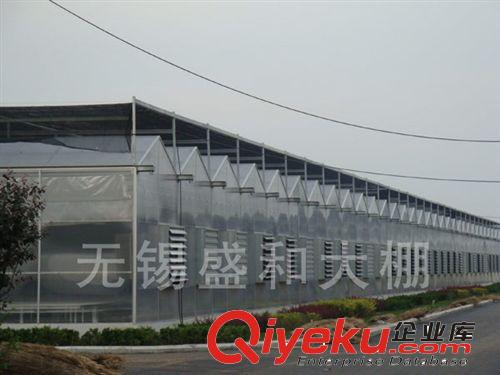 防腐鍍鋅骨架大棚廠家  原盛和溫室大棚原始圖片2