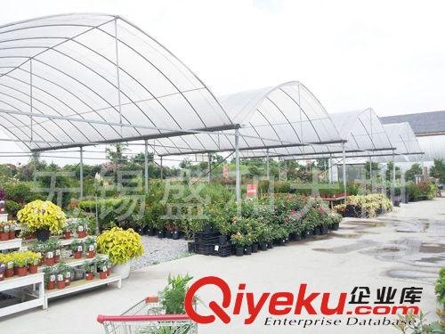 絲瓜簡易大棚溫室    原盛和溫室大棚原始圖片2