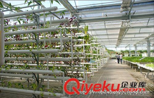 植物花卉溫室  原盛和溫室大棚