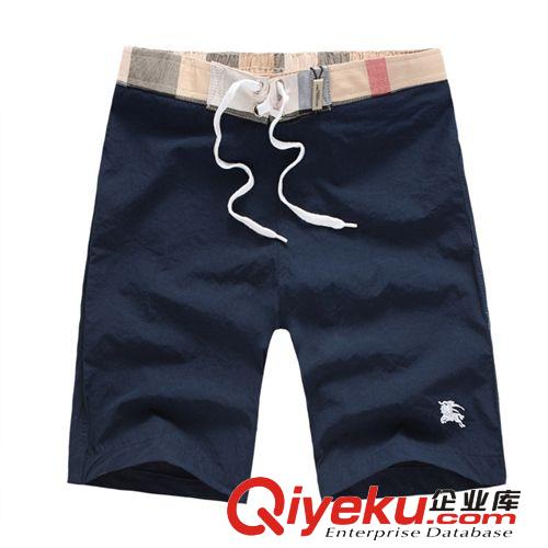 時(shí)尚短褲 廠價(jià)批發(fā) 夏季新爆款松緊帶男士時(shí)尚沙灘褲短褲一件代發(fā)原始圖片3
