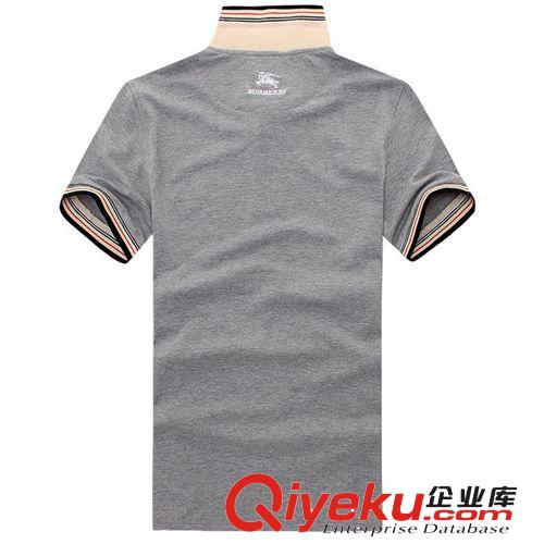 時尚短袖POLO衫 批發(fā)供應(yīng)2014夏季新款時尚男士短袖翻領(lǐng)T恤 灰色J50D1900B600原始圖片2