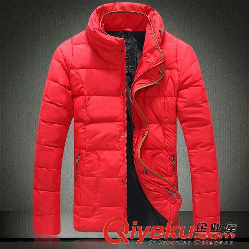 時(shí)尚羽絨服 批發(fā)2014新款 時(shí)尚男士冬裝 高品質(zhì) 立領(lǐng) 羽絨服J375A68006602200原始圖片3