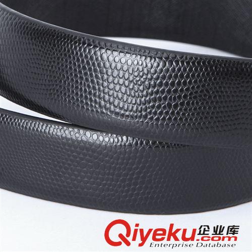 腰帶 批發(fā)一件代發(fā)男裝服飾包包鞋子 2013新款時尚zp皮帶 2V-HV8-85原始圖片3