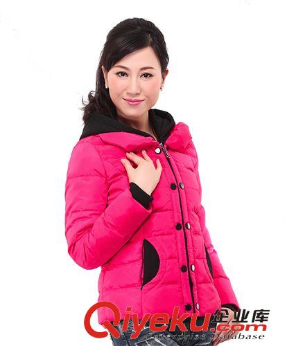 北京專區 批發廠家直供女裝 爆款現貨批發 冬裝羽絨服 女式短款羽絨服原始圖片2