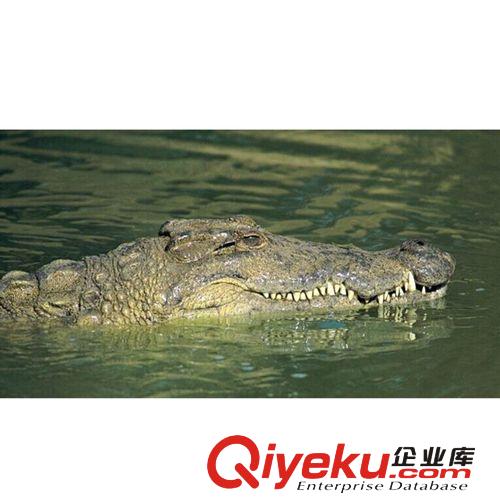 定制專區 補差價、{zz1}定制鏈接