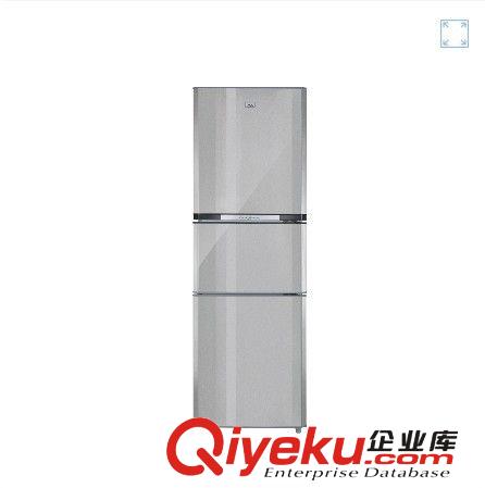 TCL冰箱 TCL BCD-202BN60  202升雙門制冷冰箱（限深圳）