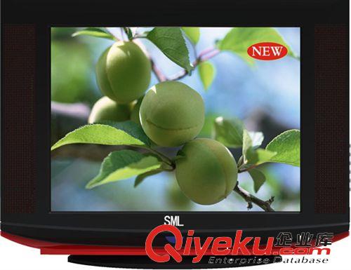 普屏/純平 COLOR TV 顯像管電視 2013年114屆秋交會電視機報價表原始圖片3