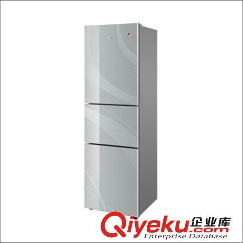 冰箱冷柜 專業供應 海爾家用冰箱 海爾單身貴族迷你三開門冰箱原始圖片2