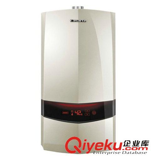 熱水器 燃氣熱水器廠家出售 JSQ32-QR&nbsp;空氣能熱水器供應