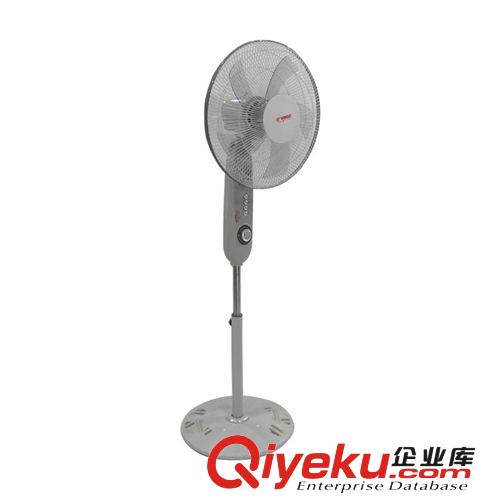 季節性小家電 揚子家用電風扇批發靜音立式搖頭扇14寸5葉電風扇 落地風扇 禮品原始圖片3