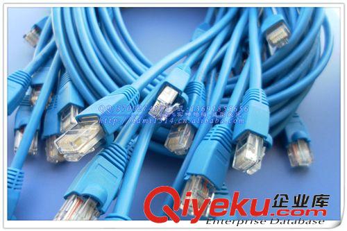 網線 跳線 廠家直銷 CAT5 超五類網線RJ45網線