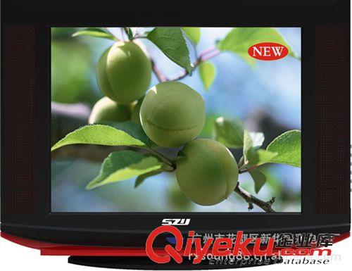 14"15"17"CRT TV 供應(yīng)14寸15寸17TOWONA  CRT電視機含葡萄牙語