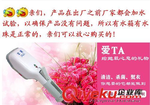 特色電器 家用富麗手握式電熨斗 YF-618蒸汽電熨刷 手拿電熨斗掛燙機原始圖片3