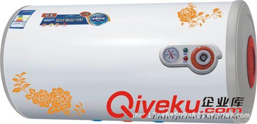 其他熱水器 熱水器　櫻花電熱水器機械 電熱水器 儲水式 史密斯電熱水器