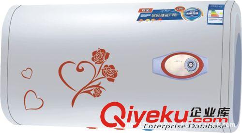 其他熱水器 扁筒雙膽電 熱水器 儲(chǔ)水式熱水器  OEM 新款超薄 全國(guó)批發(fā)