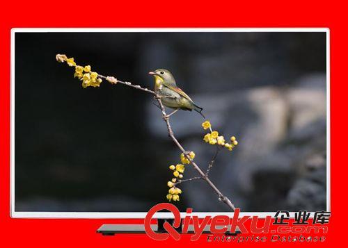 液晶電視機 60，70寸電視機，工程液晶電視，防水電視，電視批發，網絡電視原始圖片3