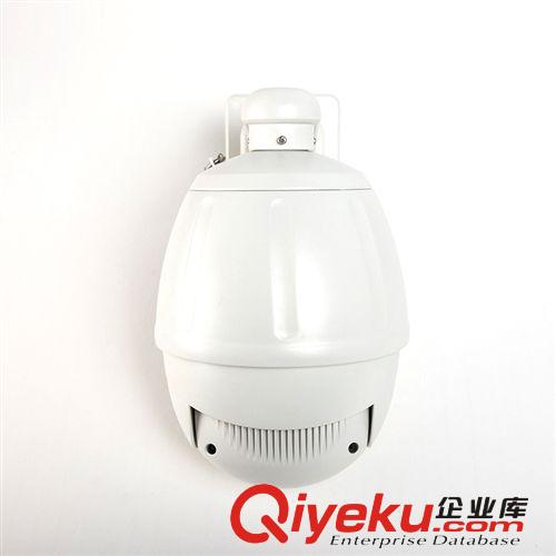 網絡高清攝像頭 德瑪西 監控攝像頭 球機攝像機 一體機監控球機 智能球機原始圖片3