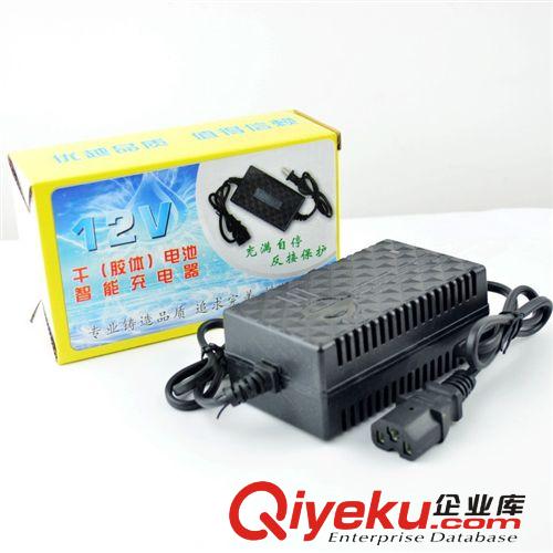 *電動車充電器 48V12ah/48V20ah電動車充電器  廠家直銷  量大從優