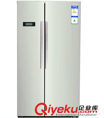 冰箱 Ronshen/容聲冰箱BCD-230W/A-HG61 雙門/實用/節能/風冷/