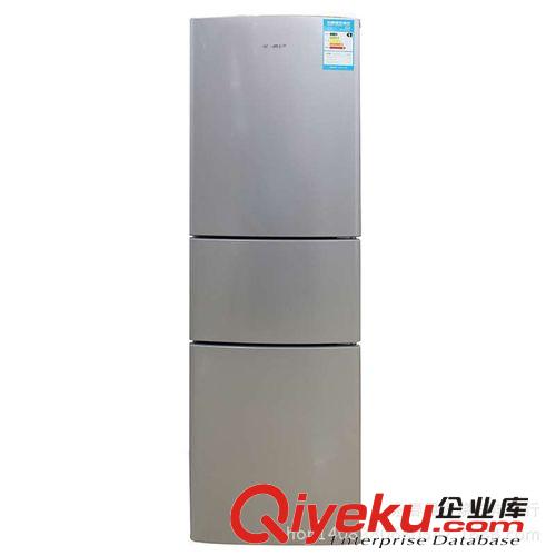 冰箱 容聲（Ronshen）BCD-208E/C-HS61 C 208升 兩門冰箱
