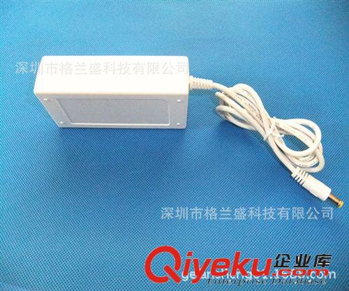 格蘭盛 桌面電源 廠家供應12V4A白色開關(guān)電源電源適配器一體機電源12V4A LCD顯示器