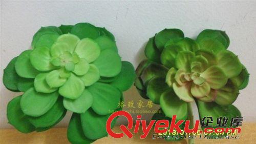 仿真花草裝飾 仿真多肉植物 觀音蓮 仿真花模型 大寶蓮 假花 道具花 客廳裝飾花