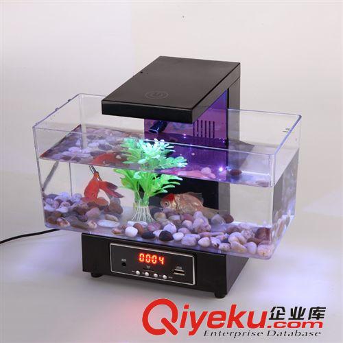 筆筒魚缸【系類】 迷你魚缸 usb迷你魚缸 插卡音箱帶FM收音機 生態魚缸 水族箱