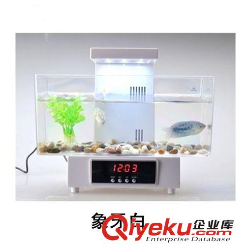 筆筒魚缸【系類】 包郵 Usb迷你魚缸u(yù)sb水族箱 辦公室桌面魚缸創(chuàng)意生態(tài)魚缸帶泵養(yǎng)魚