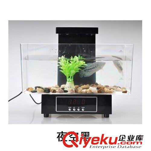 筆筒魚缸【系類】 包郵 Usb迷你魚缸usb水族箱 辦公室桌面魚缸創意生態魚缸帶泵養魚