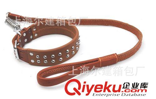 寵物用品 上海供應(yīng)寵物牽引繩 牽引帶 新款熱銷(xiāo)  支持混批原始圖片3