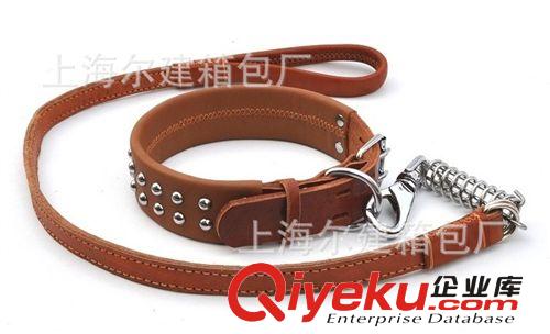 寵物用品 上海供應(yīng)新款大型犬寵物牽引帶/牽引繩項(xiàng)圈//狗鏈子 支持混批原始圖片2