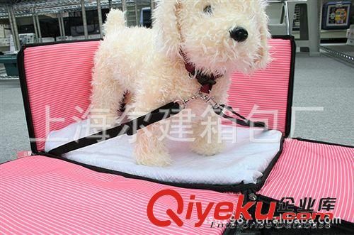 寵物用品 上海廠家供應(yīng)寵物狗車載寵物兜風(fēng)箱/折疊安全籠 支持混批新品原始圖片3