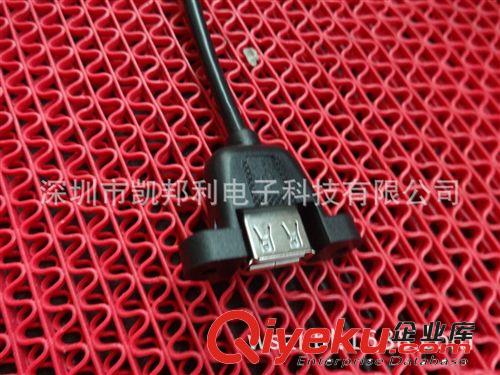 USB系列 【廠家訂做】USB公對母儀表線 USB帶耳朵延長線 USB2.0 AM/AF包郵原始圖片2