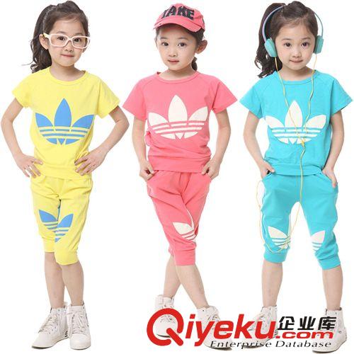 夏裝[訂單生產(chǎn)] 廣東產(chǎn)地 2014夏季新品童套裝 休閑外貿(mào)大品牌童套裝現(xiàn)貨批發(fā)原始圖片3