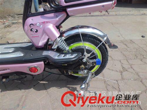 電動車 電動自行車 兩輪 新款 代步車 迷你型 電瓶車 廠家批發(fā)原始圖片2