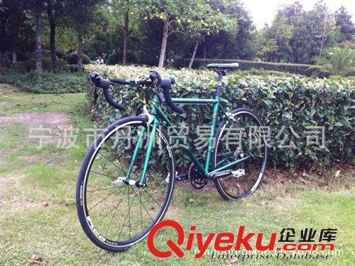 自行車公路 微轉20速 復古鋼架 FSA CARTON PRO碳纖牙盤原始圖片2