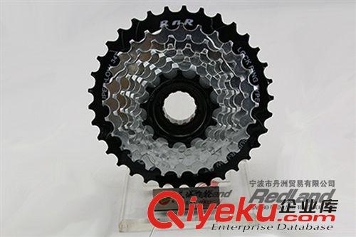 長城自行車飛輪  8速旋飛變速車配件  定位飛輪 24速傳動系統原始圖片3