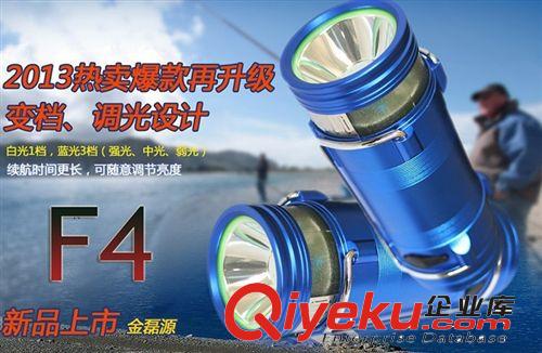 充電式雙光源釣魚燈(藍光 白光) /藍光釣魚燈/垂釣燈400克