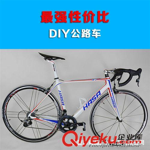 /專業(yè)定制高配置 DIY碳纖維山地越野自行車