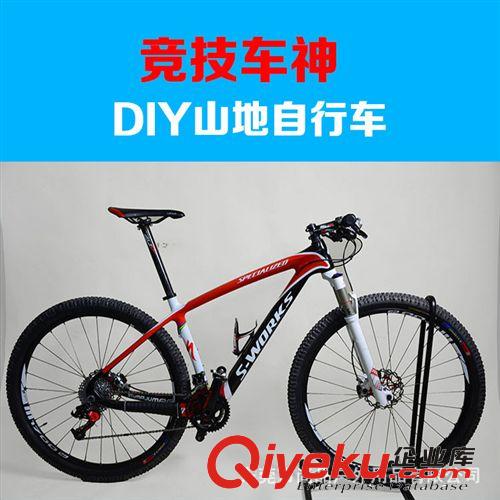 專業(yè)定制DIY碳纖維公路自行車