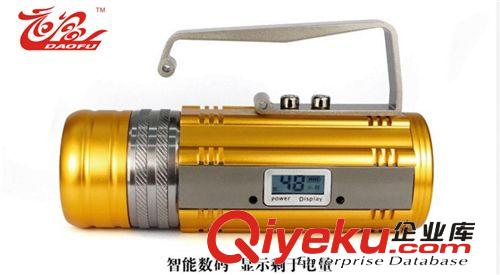 新款道富釣魚燈夜釣燈10W藍(lán)光三光源數(shù)碼顯示無極調(diào)焦落地釣魚燈